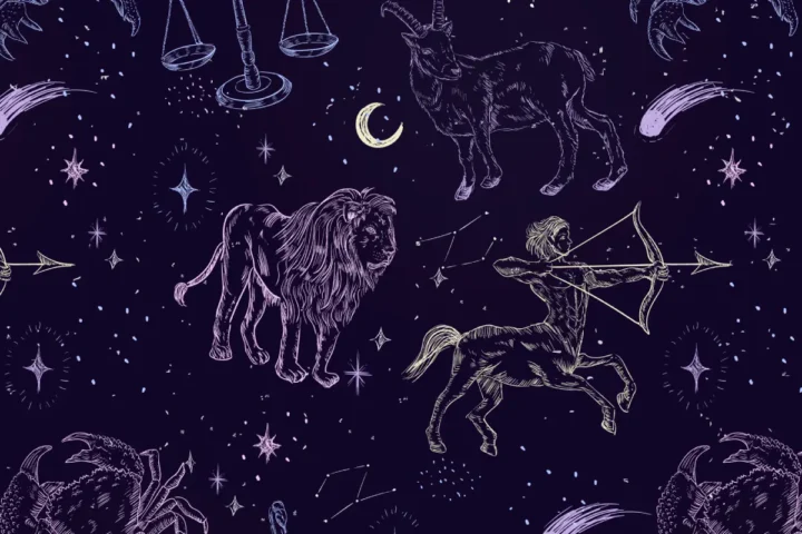 zodiac signs as animals with dark background